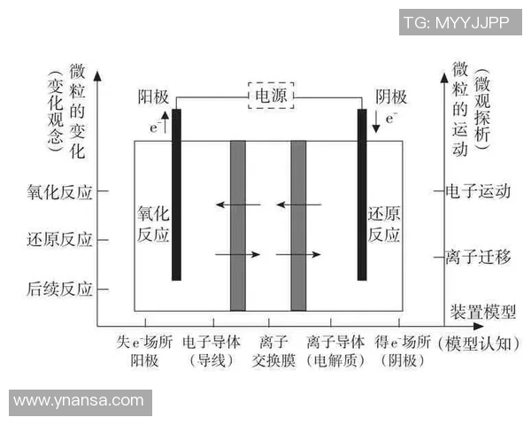 南京排球队在挑战赛中的速度表现分析与点评
