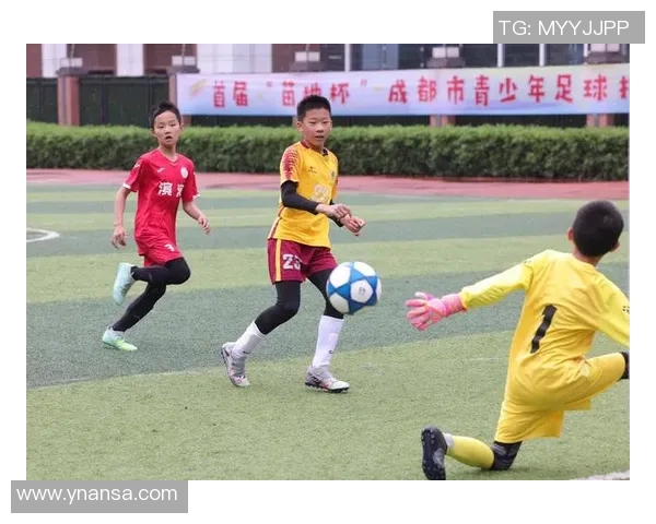 成都足球明星赛精彩回放与球星风采全景回顾 成都足球明星赛精彩回放与球星风采全景回顾