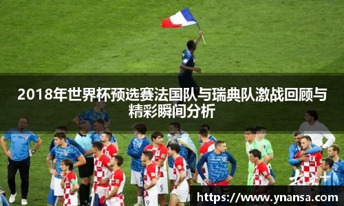 2018年世界杯预选赛法国队与瑞典队激战回顾与精彩瞬间分析