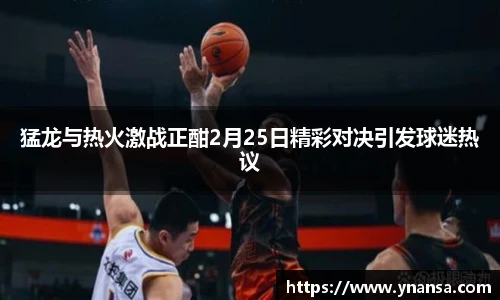 猛龙与热火激战正酣2月25日精彩对决引发球迷热议